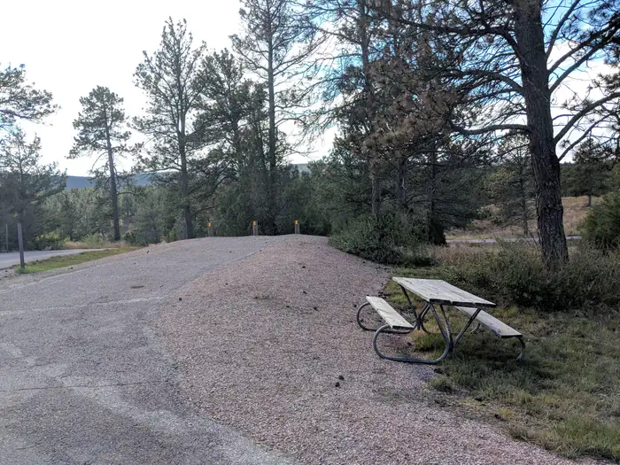 Cottonwood Springs Campground