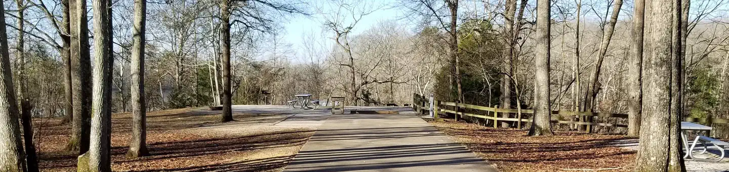 Forkland Campground