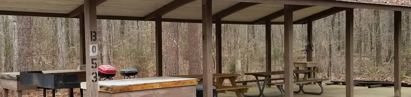 Forkland Campground