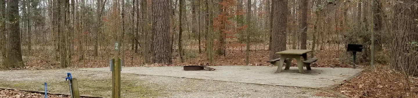 Forkland Campground