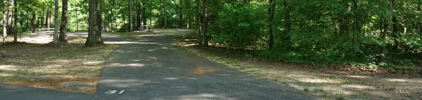 Forkland Campground