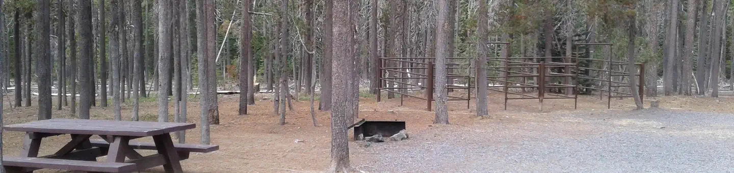 Whitefish Horse Camp