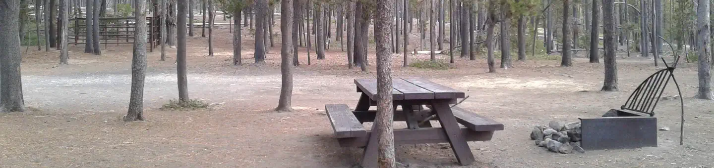 Whitefish Horse Camp