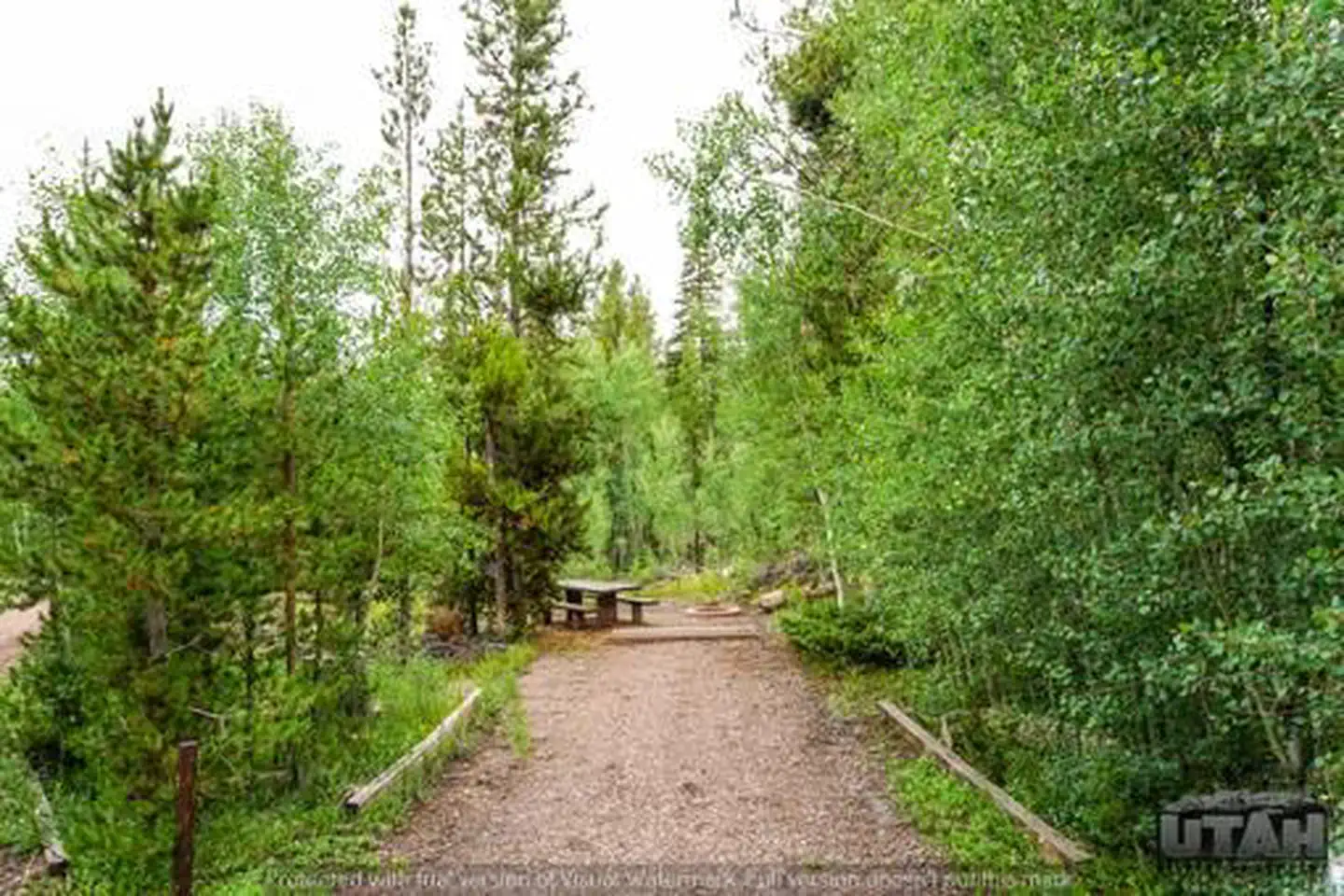 Meeks Cabin Campground
