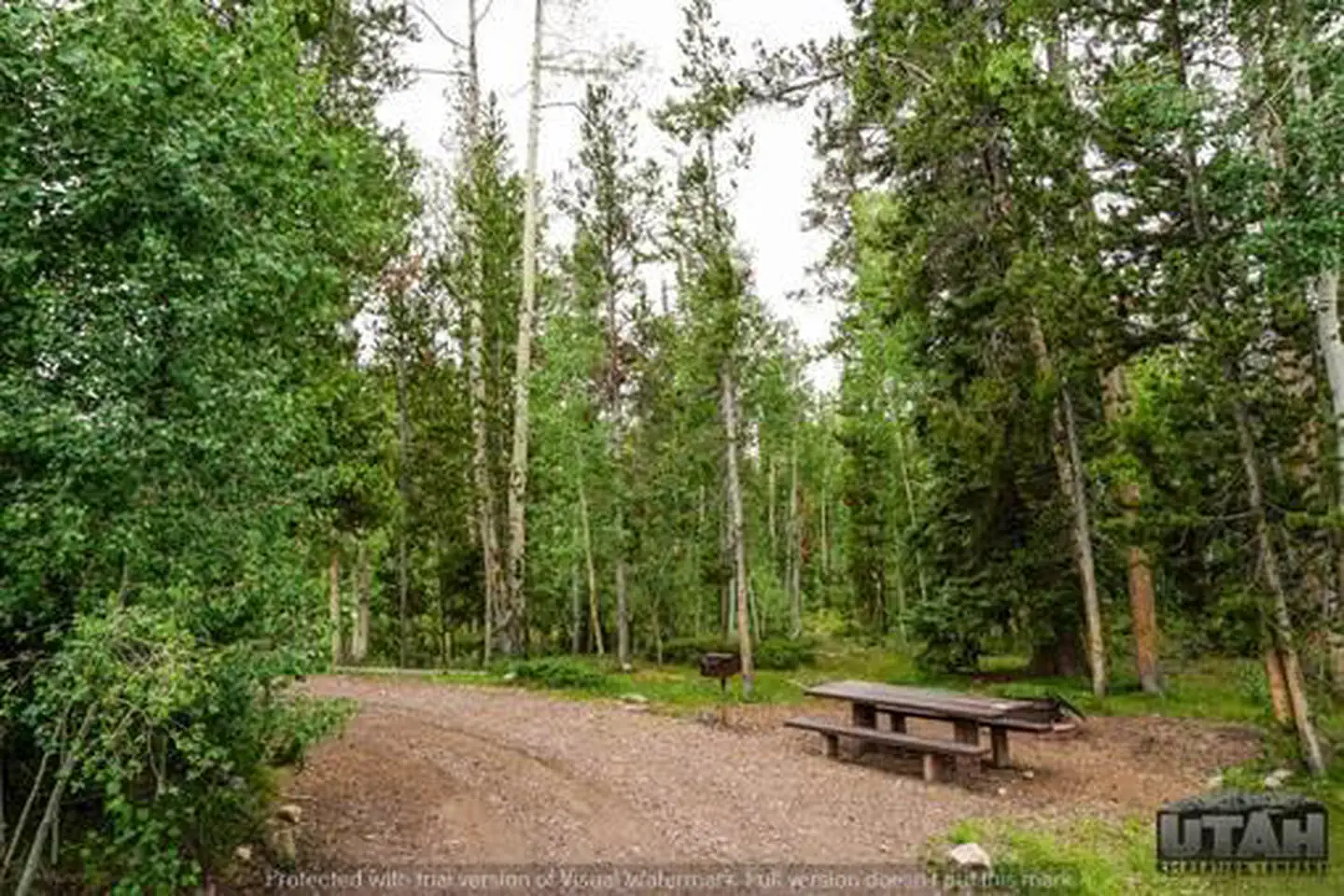 Meeks Cabin Campground