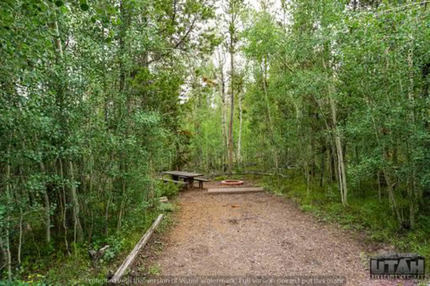 Meeks Cabin Campground