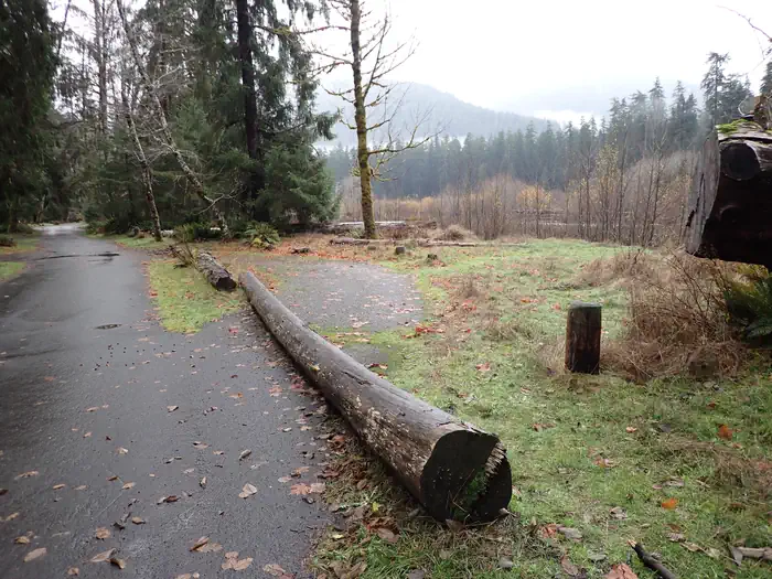 Hoh Rainforest Campground