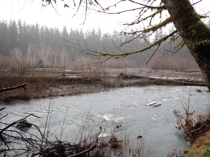 Hoh Rainforest Campground