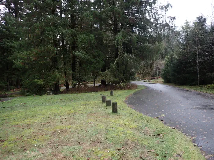 Hoh Rainforest Campground