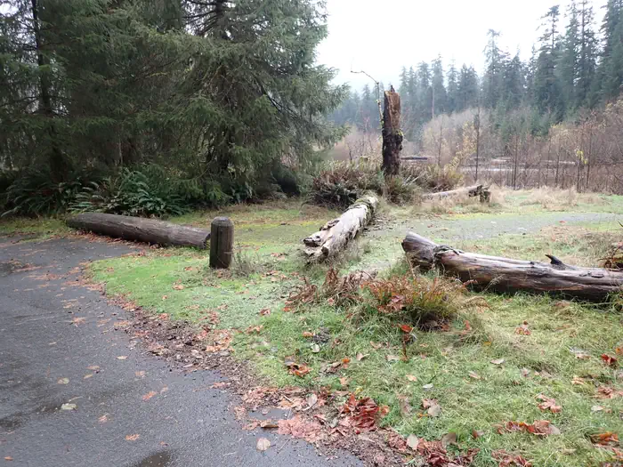 Hoh Rainforest Campground
