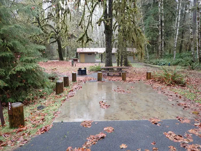 Hoh Rainforest Campground