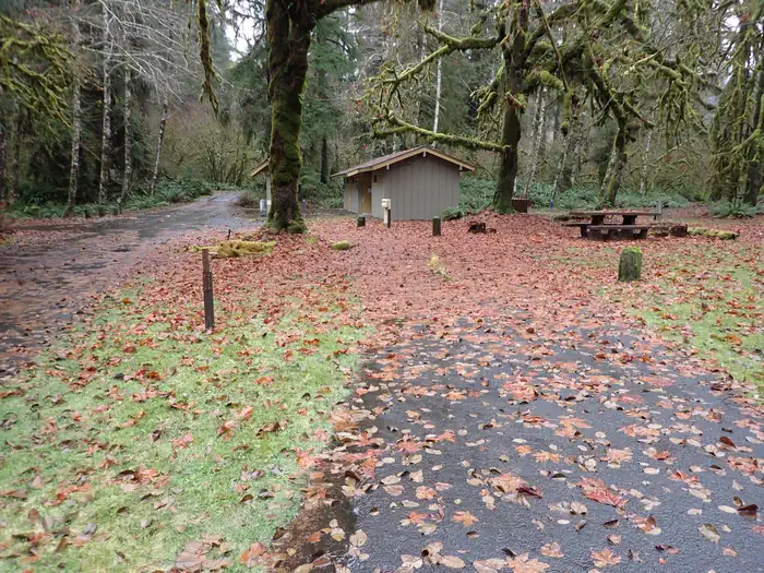 Hoh Rainforest Campground