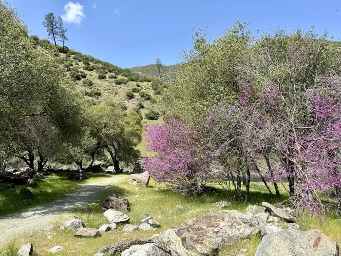 McCabe Flat Campground