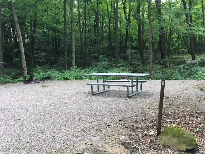 Mill Run Recreation Area