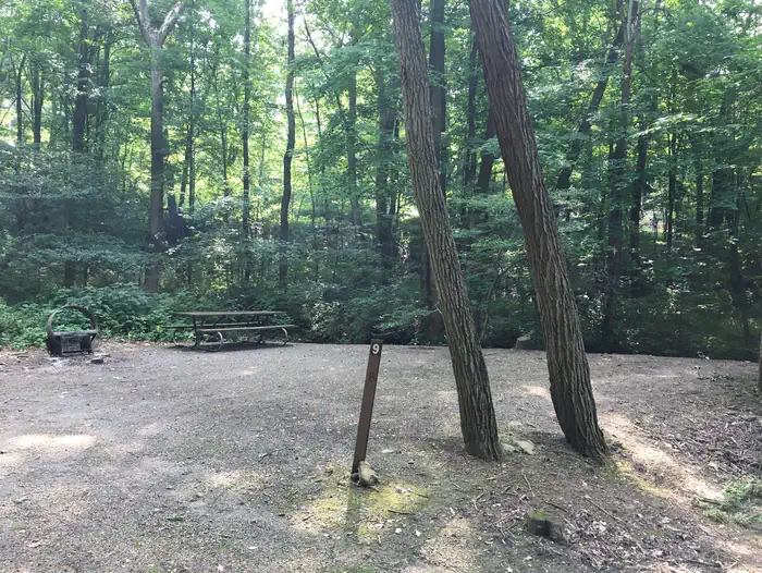 Mill Run Recreation Area