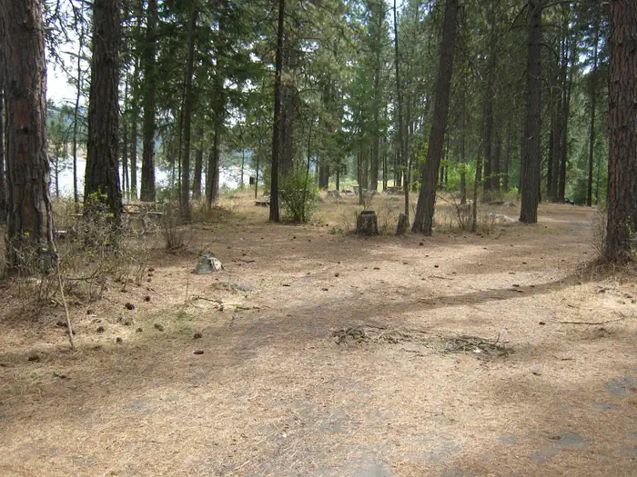 Snag Cove Campground