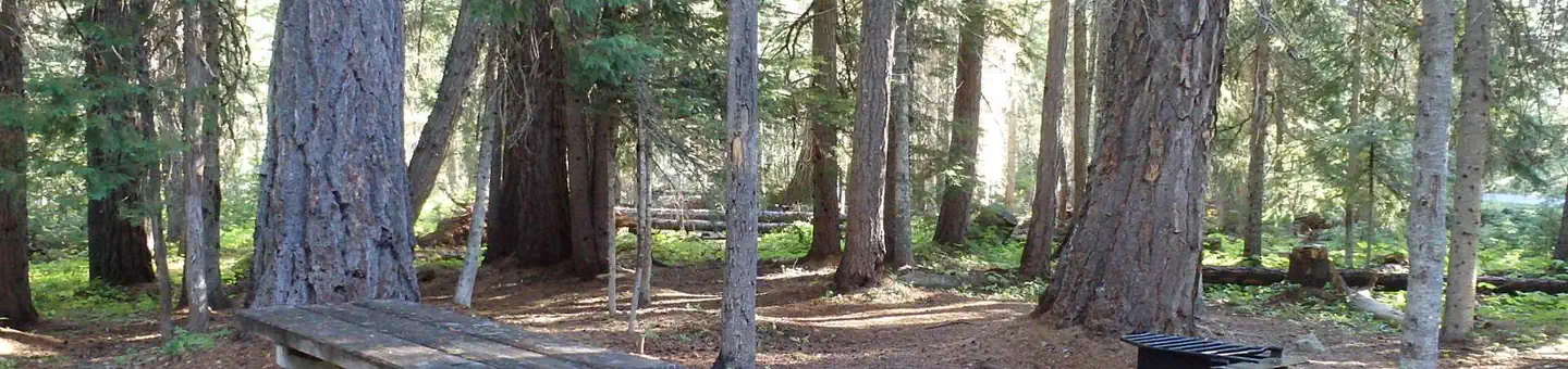Lodgepole Campground (washington)
