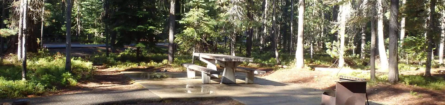 Lodgepole Campground (washington)