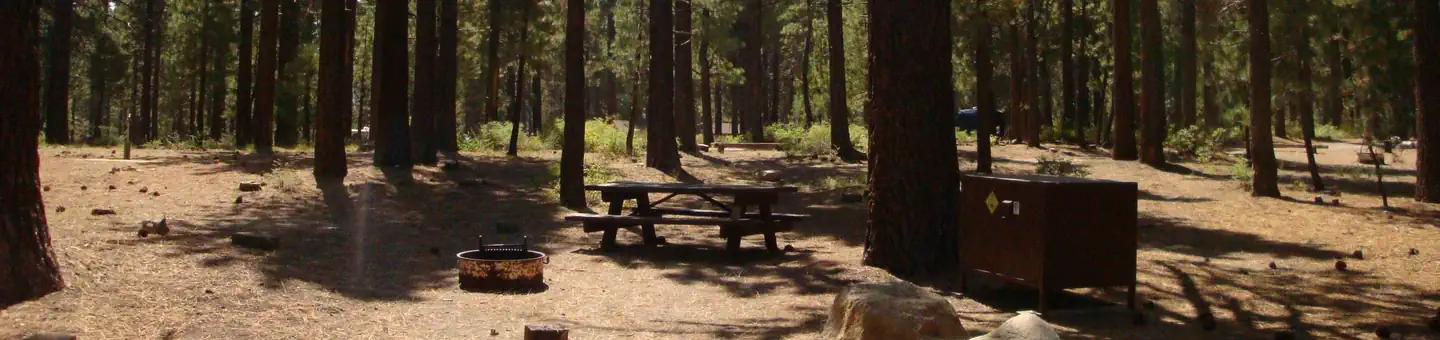 Old Shady Rest Campground