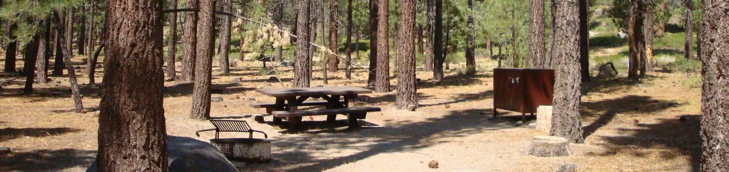 Old Shady Rest Campground