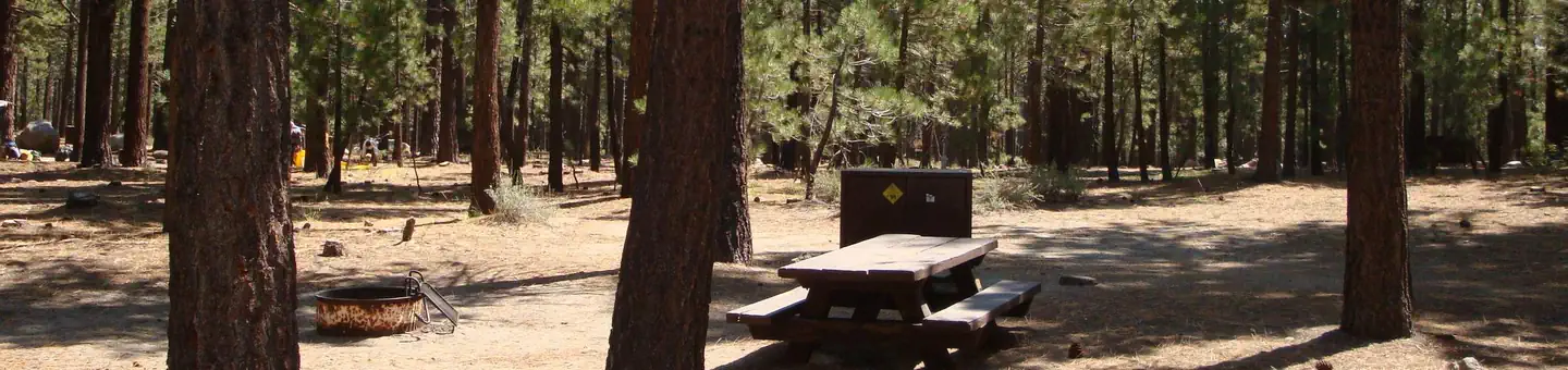 Old Shady Rest Campground