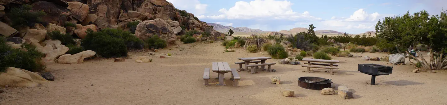 Joshua Tree National Park Sheep Pass Campground
