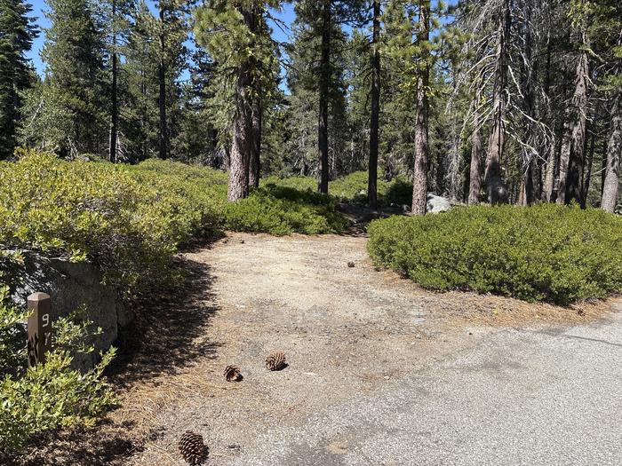 Big Meadow Campground