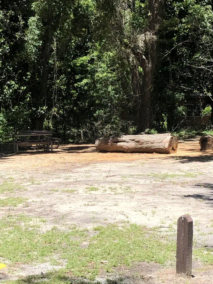 Davis Bayou Campground
