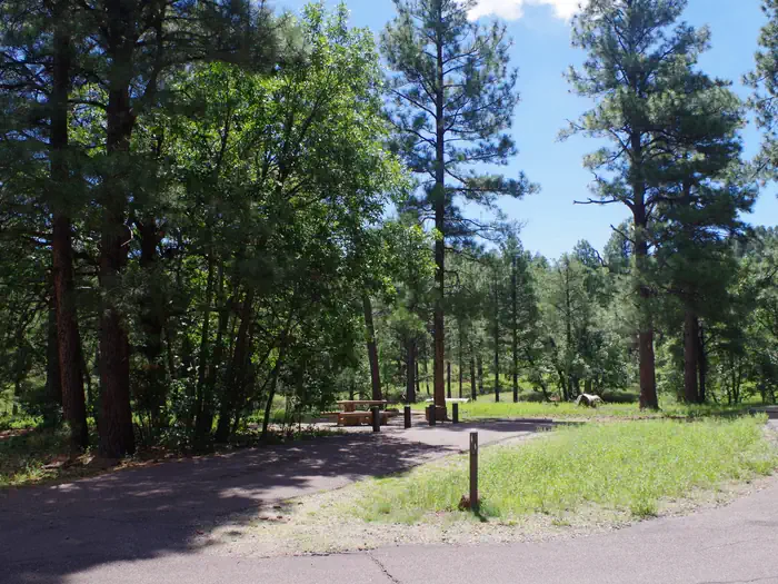 Potato Patch Campground