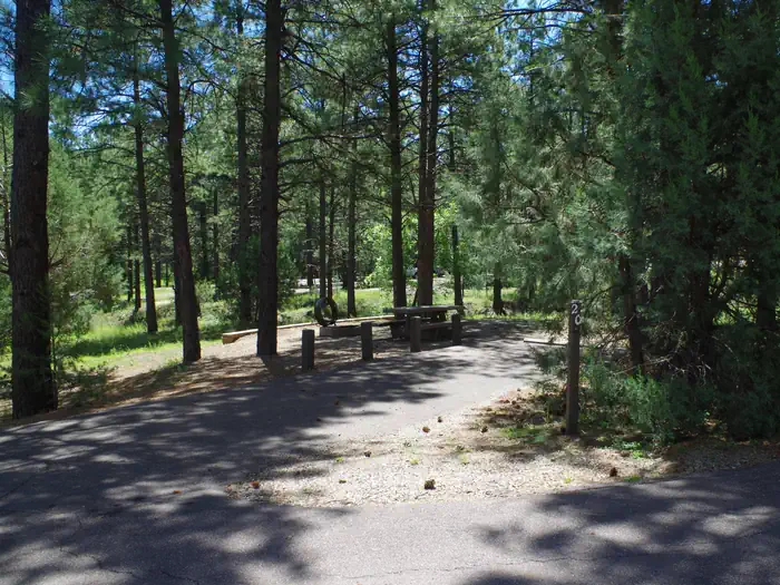 Potato Patch Campground