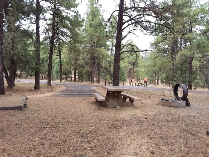 Potato Patch Campground