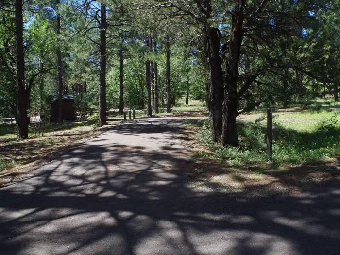Potato Patch Campground