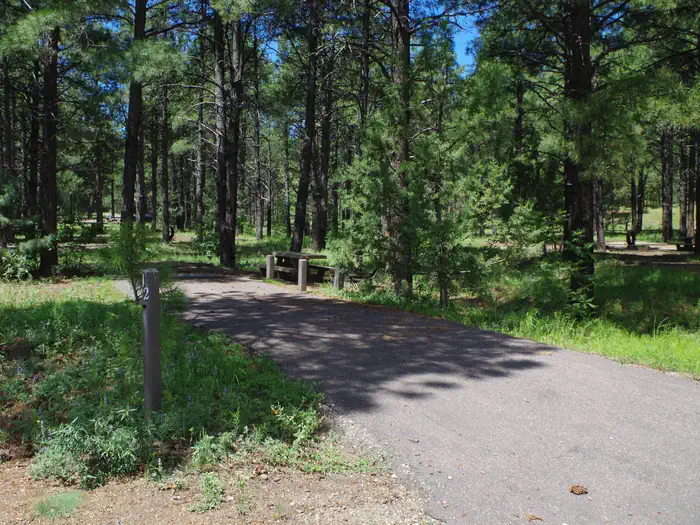 Potato Patch Campground