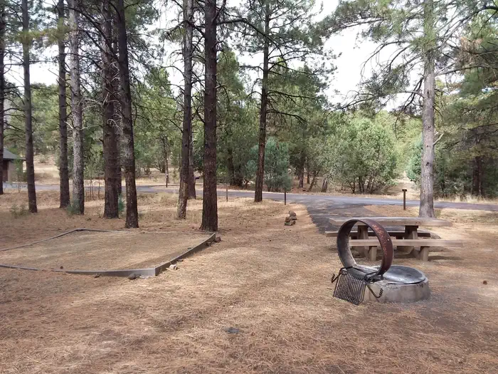 Potato Patch Campground