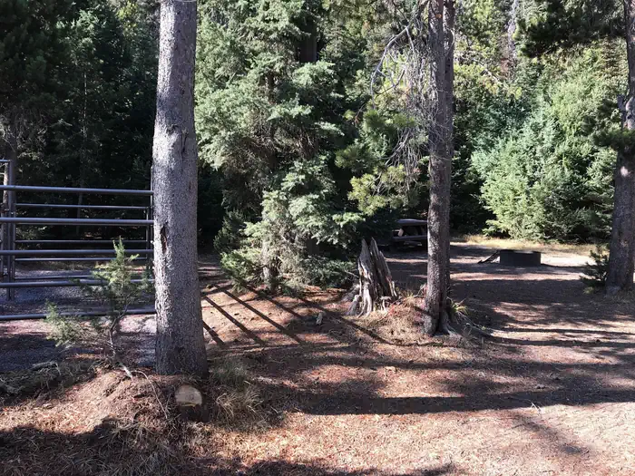 Quinn Meadow Horse Camp
