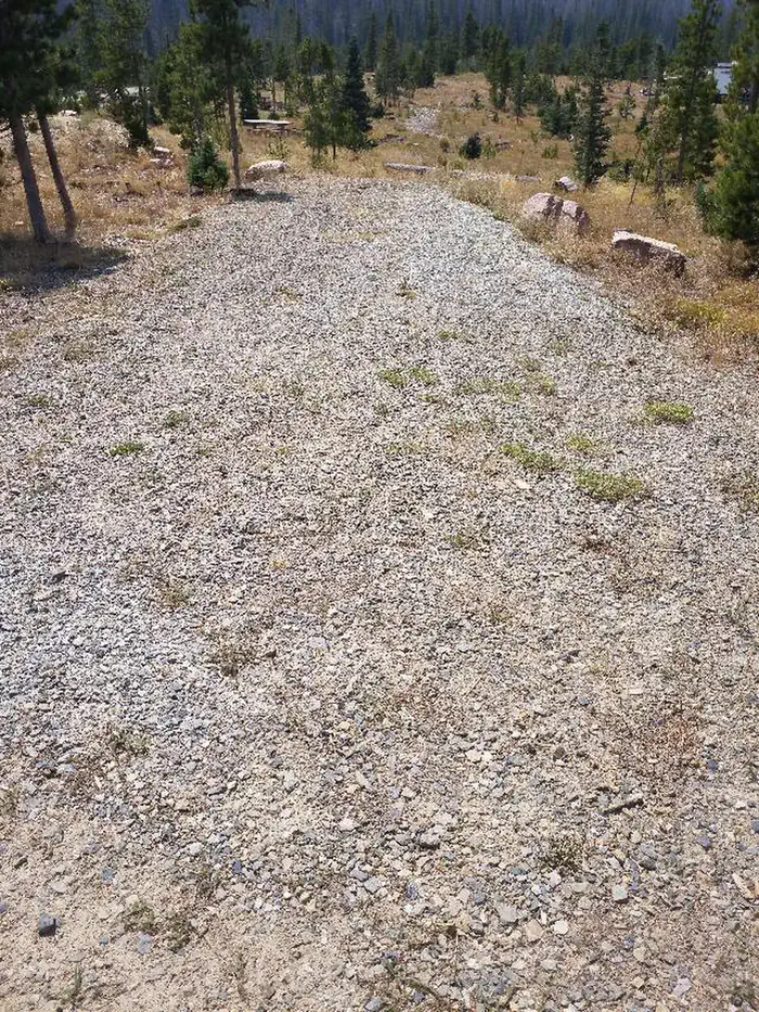 Hog Park Campground