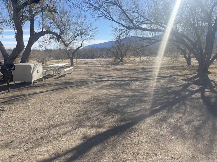 Cottonwood Campground - Big Bend National Park