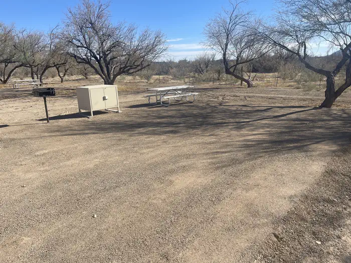 Cottonwood Campground - Big Bend National Park