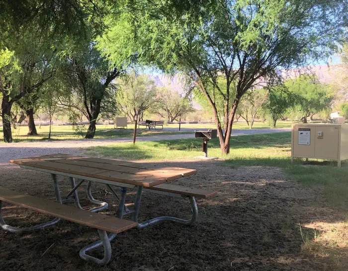 Cottonwood Campground - Big Bend National Park