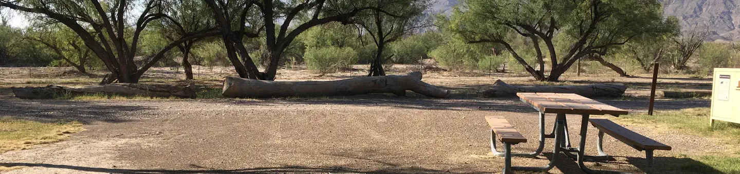 Cottonwood Campground - Big Bend National Park
