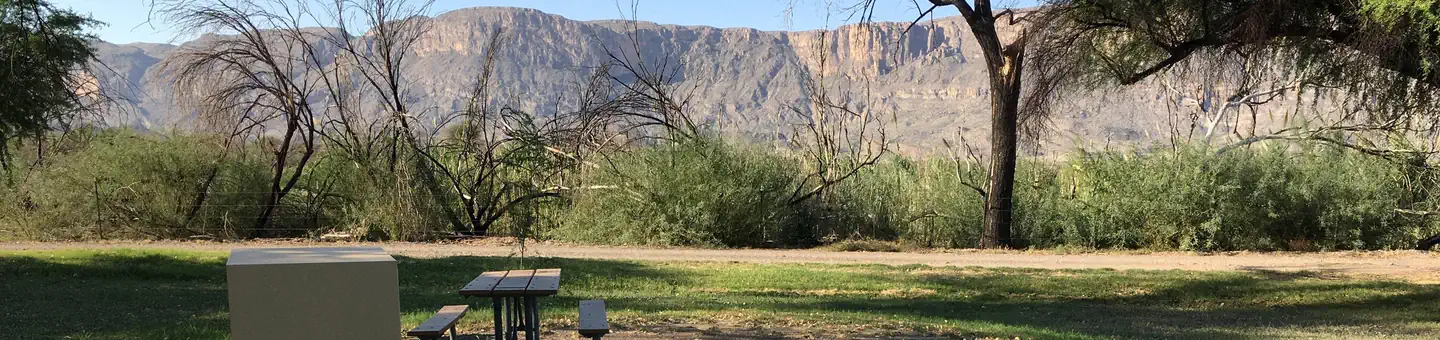 Cottonwood Campground - Big Bend National Park