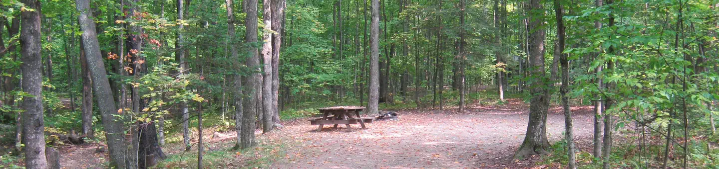 Spectacle Lake Campground (wisconsin)
