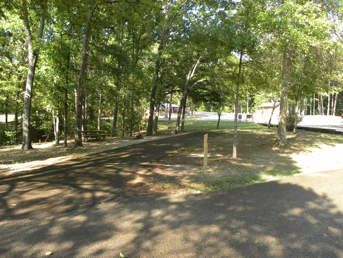 Piedmont Park