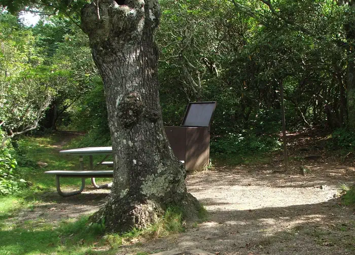 Mount Pisgah Campground