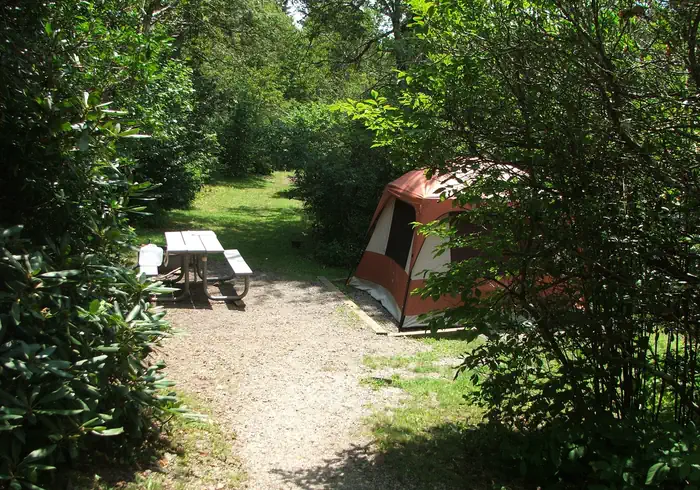 Mount Pisgah Campground
