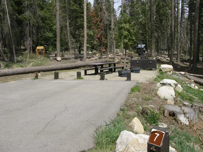 Lower Billy Creek