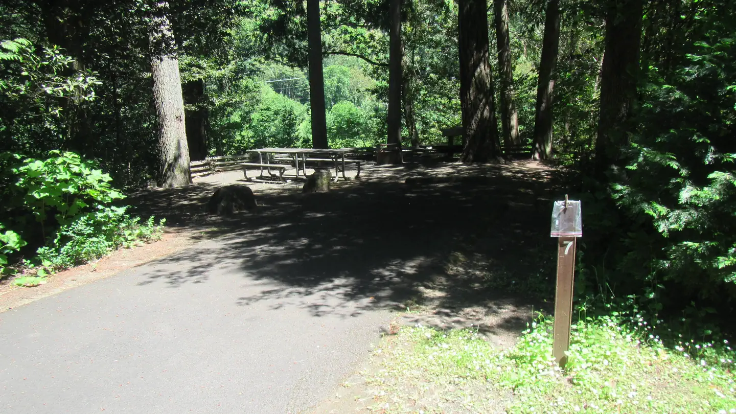 Tyee Campground - Umpqua River