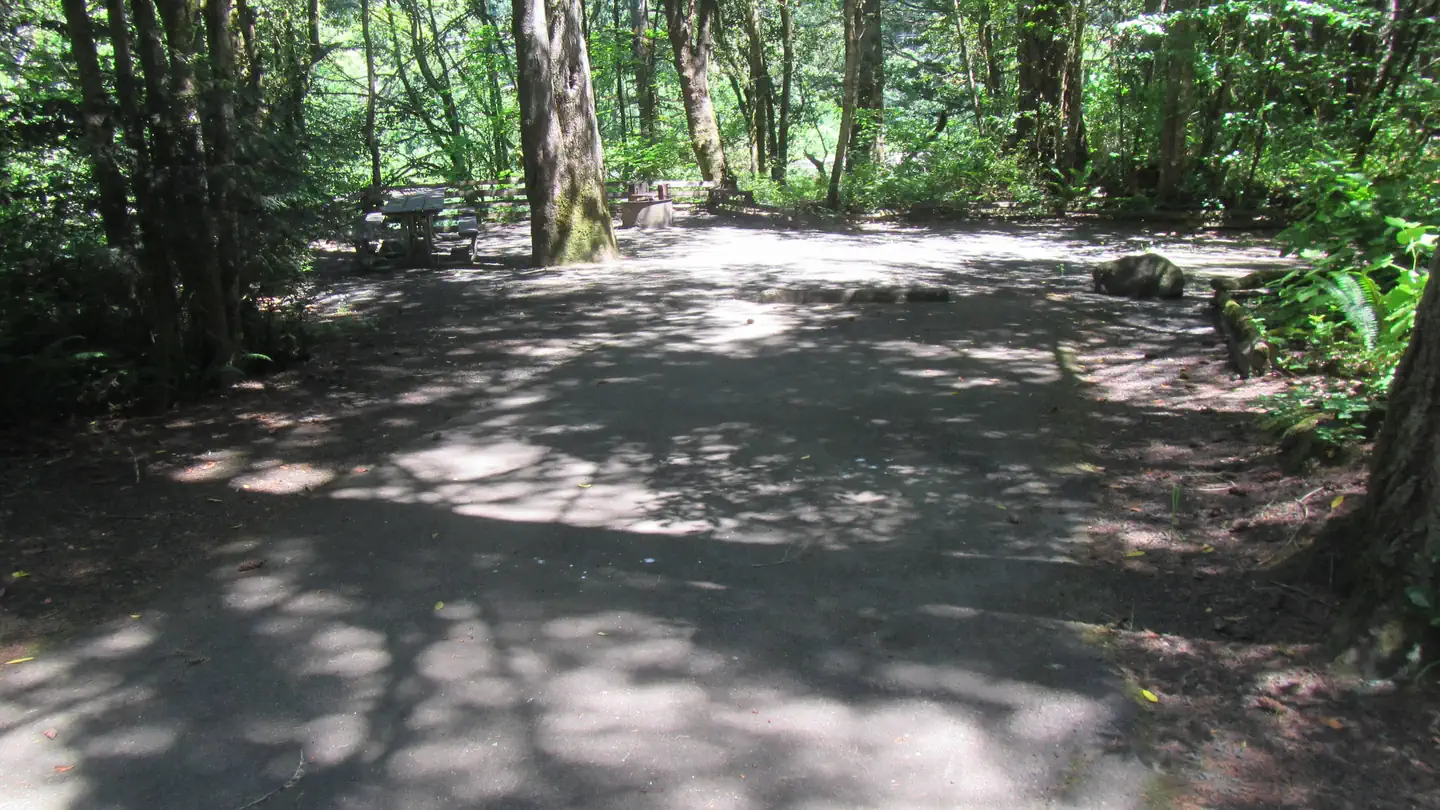Tyee Campground - Umpqua River