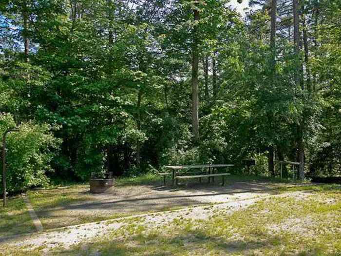 Canebrake Horse Camp