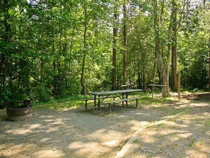 Canebrake Horse Camp
